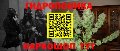 ПСИЛОЦИБИНОВЫЕ ГРИБЫ Гусиноозёрск