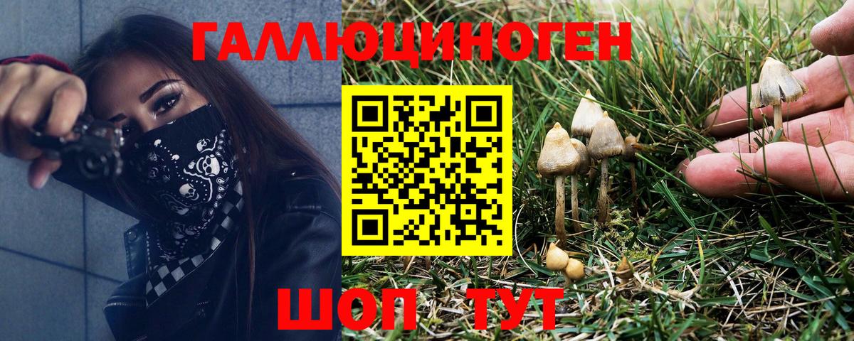 Галлюциногенные грибы Cubensis Партизанск
