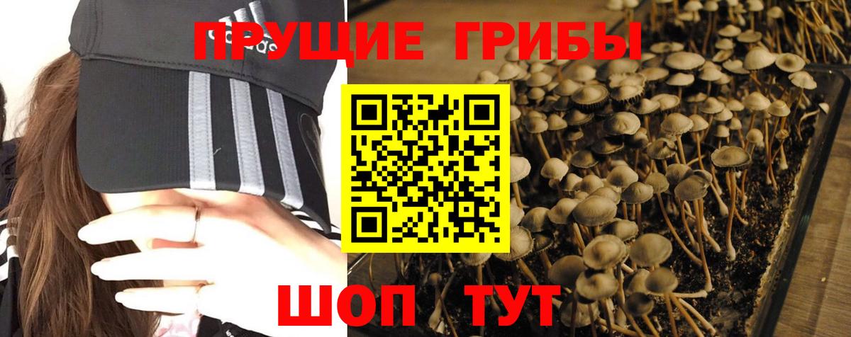 Партизанск  Галлюциногенные грибы ЛСД  Вход с VPN 